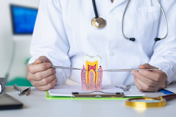 Best Emergency Treatment for Dental Infections or Abscesses in Monee, IL